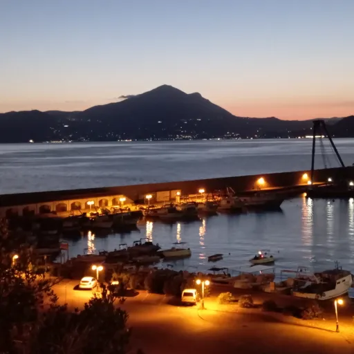 Avatar Adriana Scarpitta